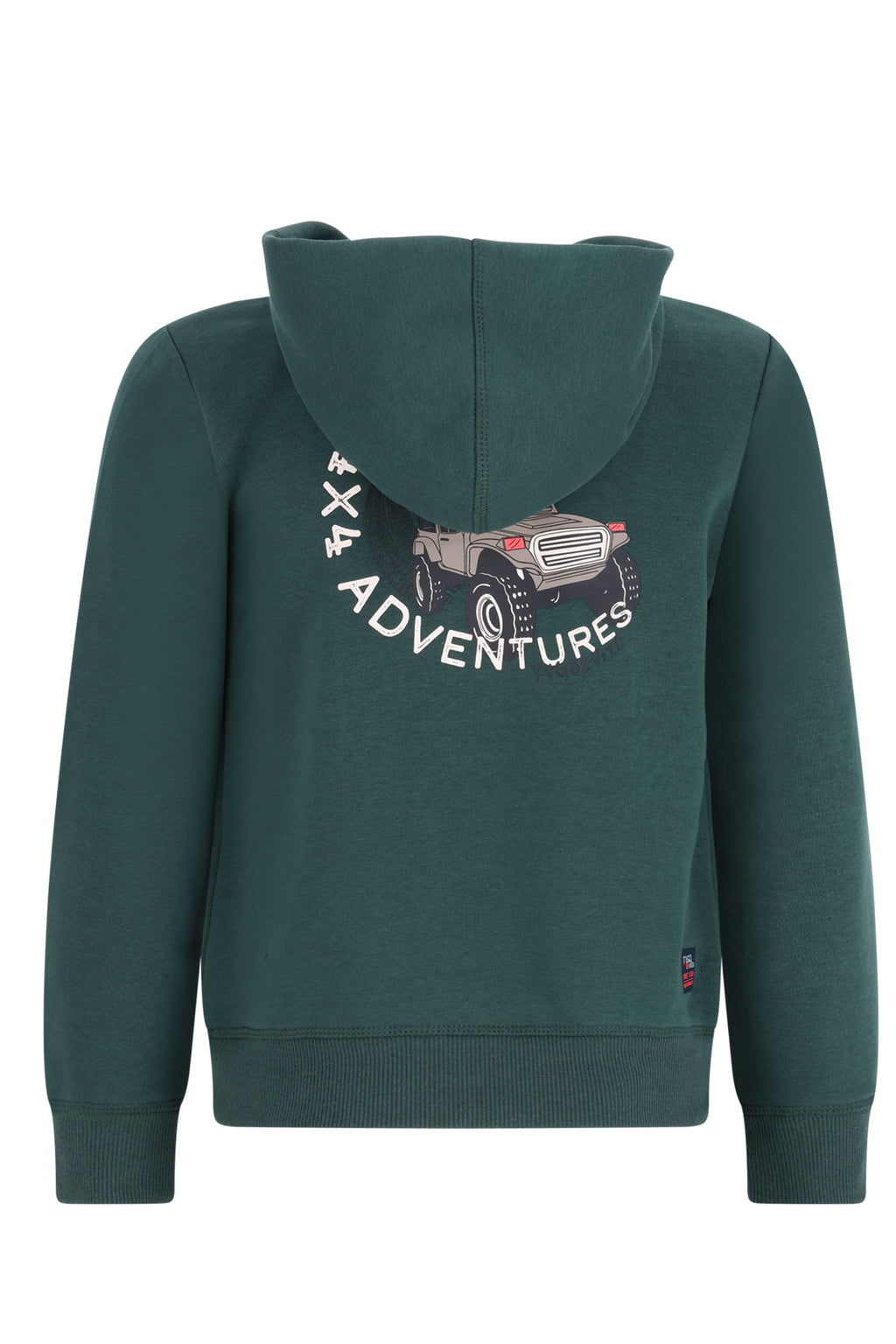 TYGO&vito SWEAT À CAPUCHE vert avec imprimé dos