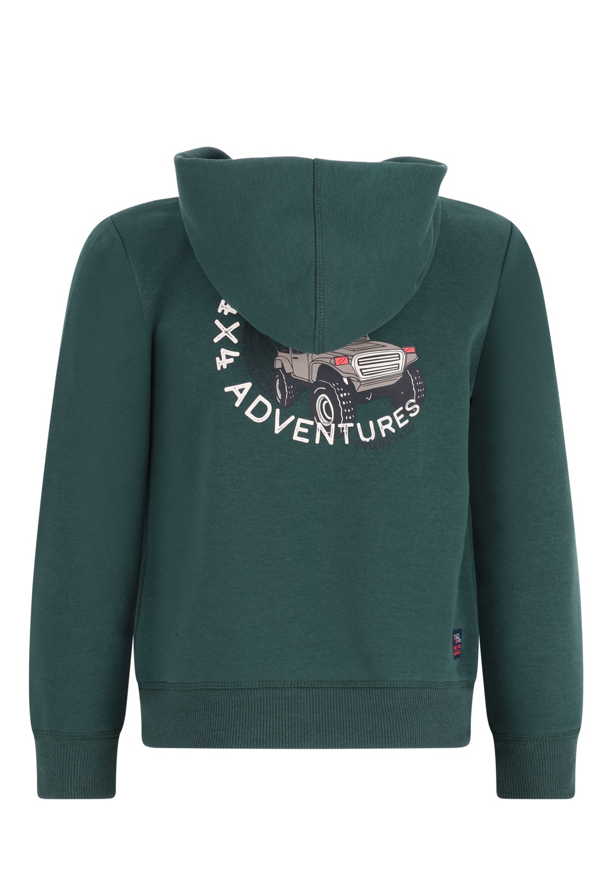 TYGO&vito SWEAT À CAPUCHE vert avec imprimé dos